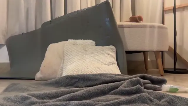 Poster: eimigirl (emyii) - February 17, 2026