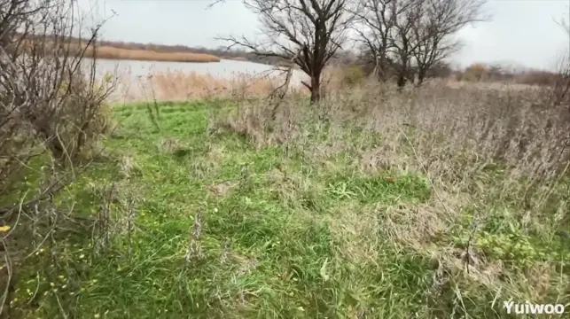 Poster: Yuiwoo - Petite Classmate Was Punished for Skipping Classes with a Large Portion of Cum on Her Cute Face - OnlyFans