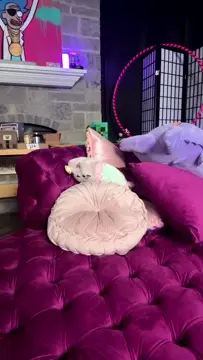 Poster: Violet Summers - May 30, 2025 - OnlyFans